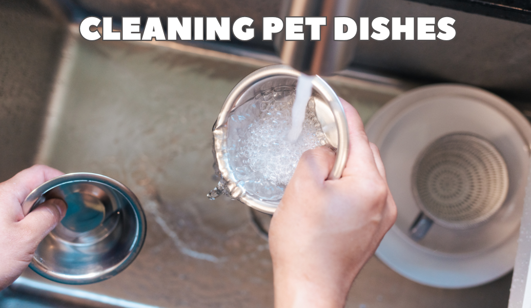 Cleaning Pet Dishes