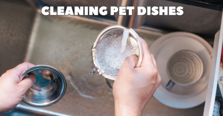 pet sitting katy, tx west houston