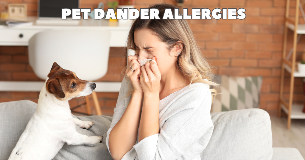 pet sitting katy, west houston, cypress texas