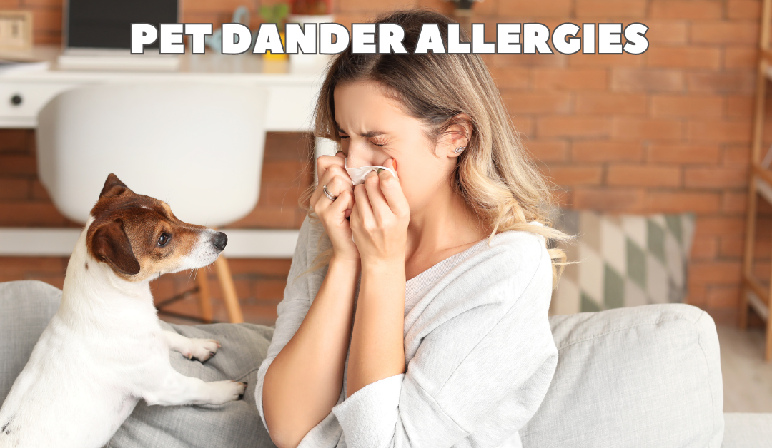 Pet Dander Allergies & Remedies