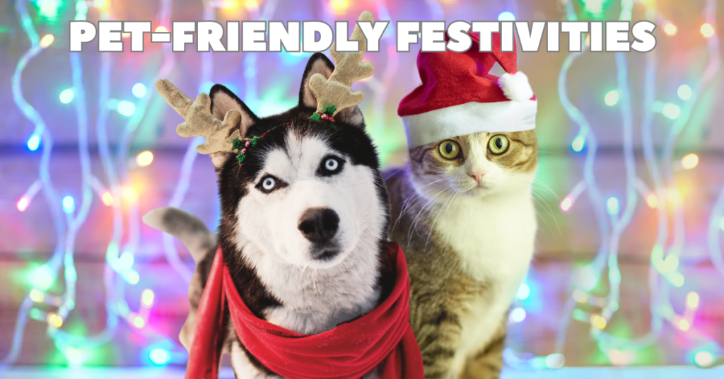 holiday pet tips katy, tx