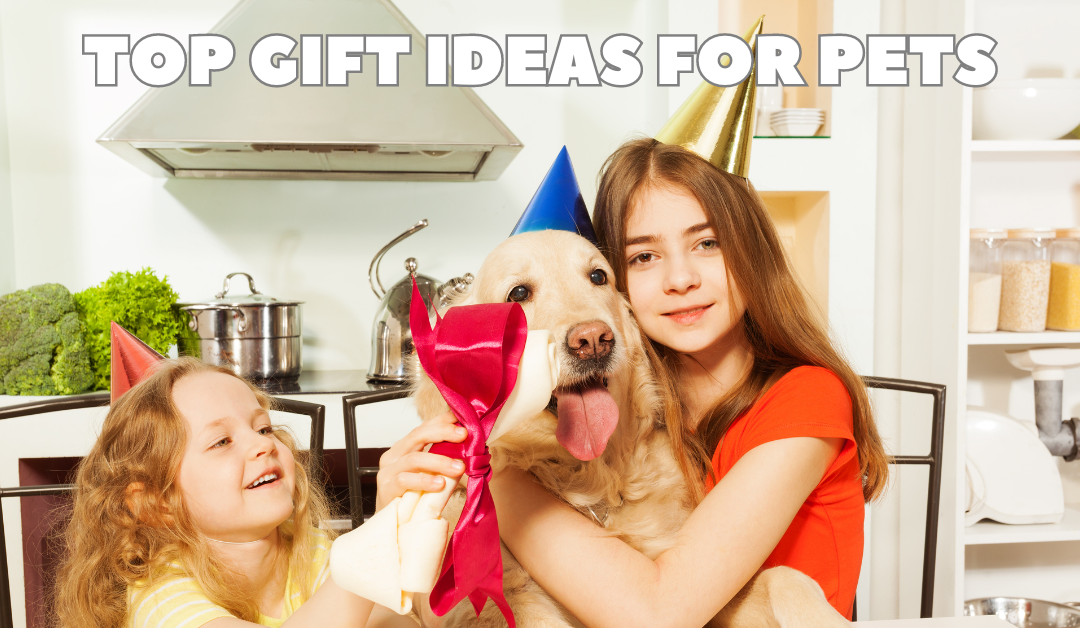 Top Gift Ideas for Pets