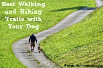 Best Hiking and Walking Trails with Your Dog Near Katy, Texas