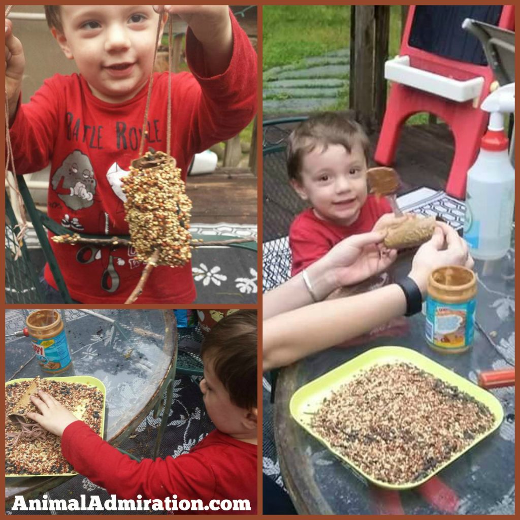 Looking for a craft with the kids? Check out this fun little bird feeder we made!
