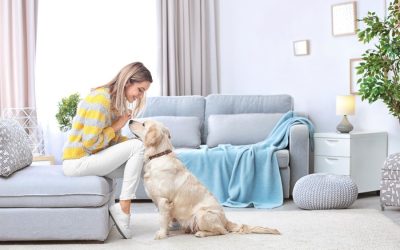 Animal Admiration’s Pet Care In-Home Consultation