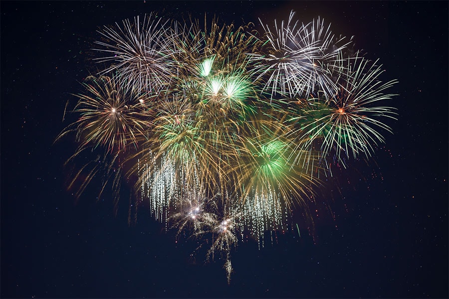 Sileo Anxiety Relief for Dogs During Fireworks