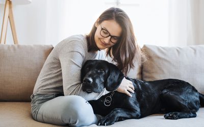 What to Tell Your Pet Sitter Before you Head out of Town