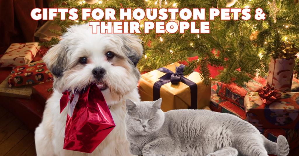 pets katy texas dogs cats katy