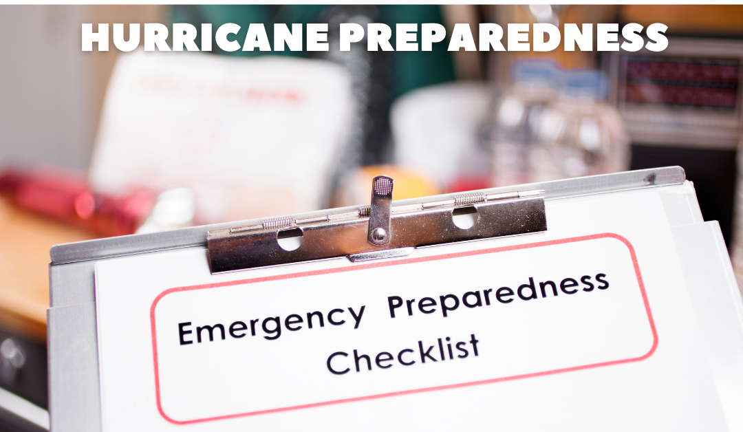 Top 3 Tips for Hurricane Preparedness with Pets