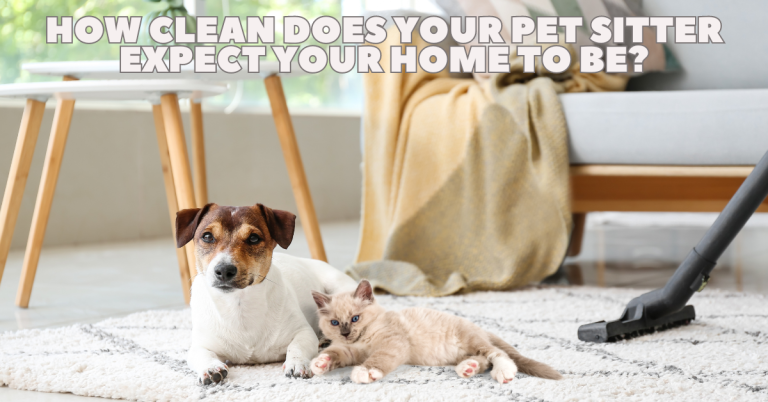 in-home pet care katy