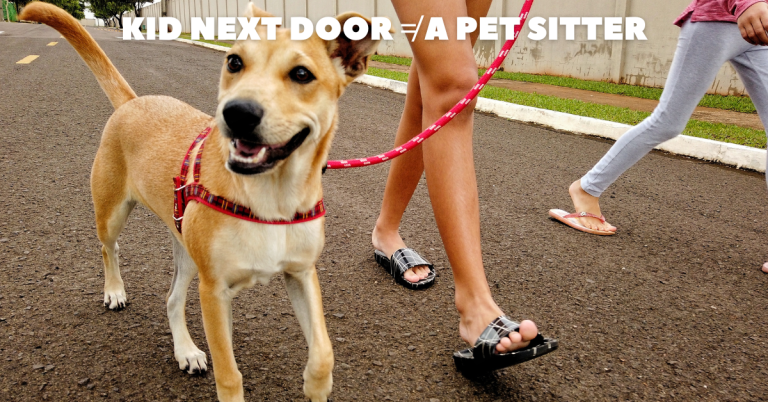 kid next door pet sitting