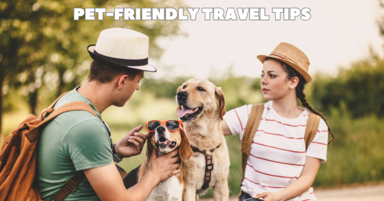 couple traveling with pets