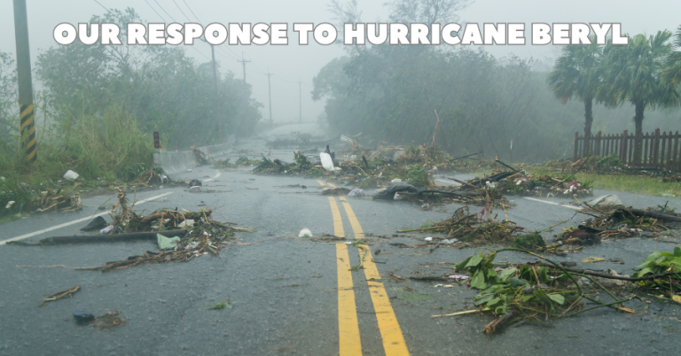 houston hurricane beryl pet care