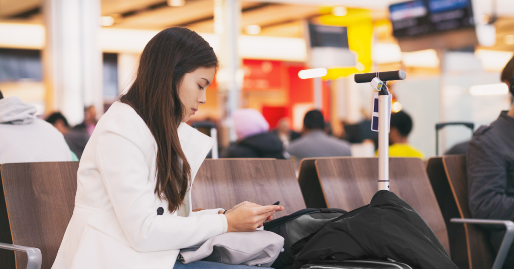 pet parent delayed at airport contacting pet sitter