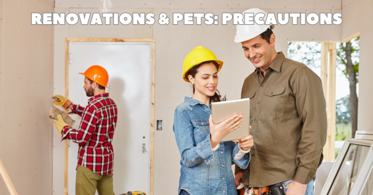 renovations with pets