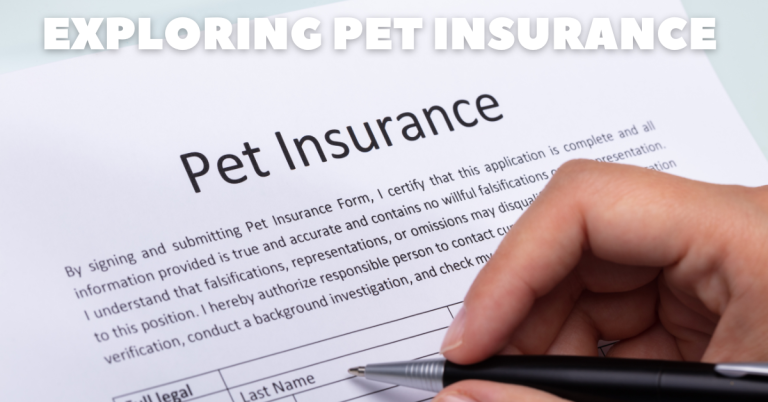 exploring pet insurance animal admiration pet care houston