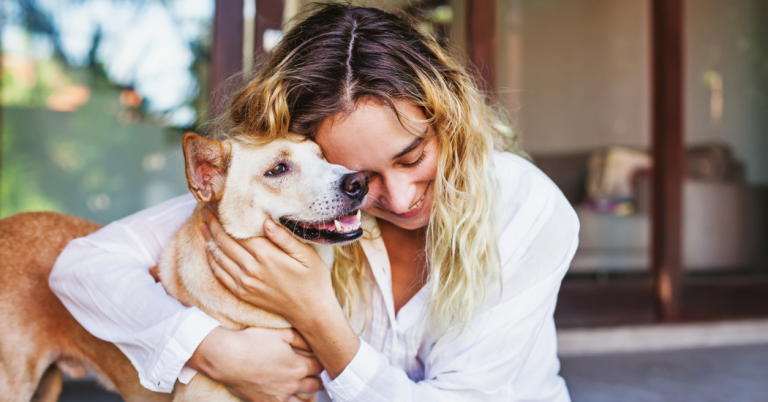old dog with katy dog parent texas