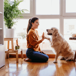 dog mom in Houston high fiving her dog by a large window