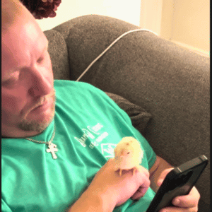 Todd Animal Admiration Pet Care pet sitter dog walker with a chick on his hand