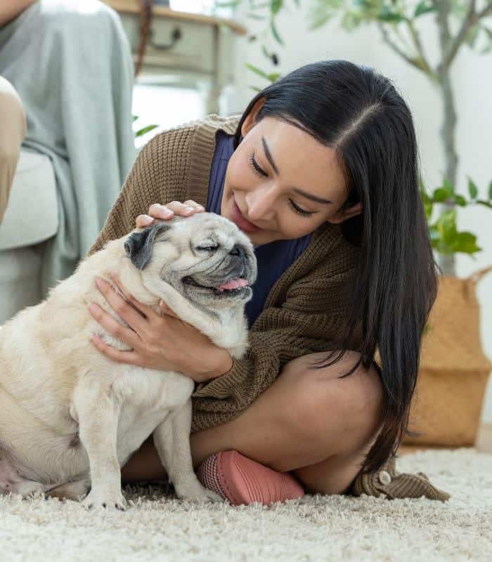 Katy South Pet Sitting and Dog Walking