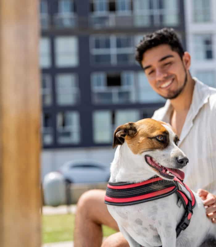 Katy South Pet Sitting and Dog Walking Animal Admiration