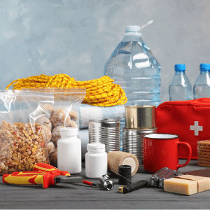 pet emergency prep kit for houston pet parents