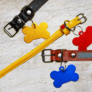 pet emergency prep kit for houston pet parents collars and ID tags