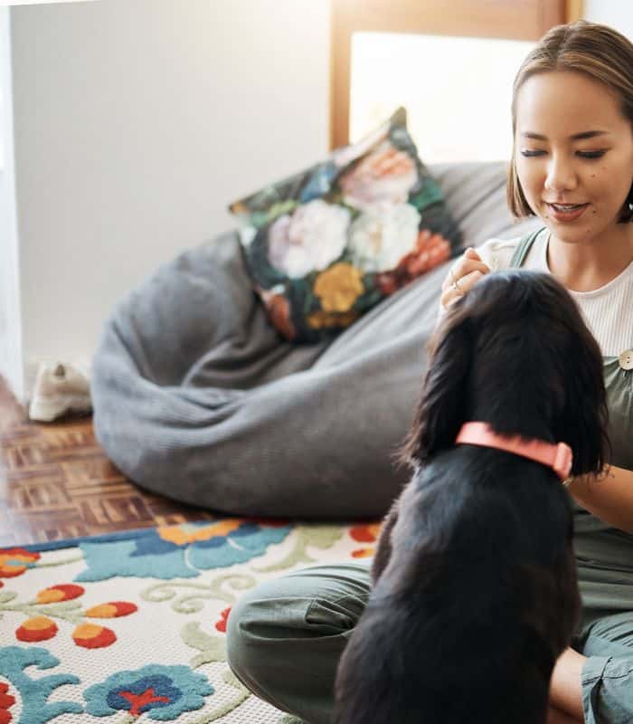 Woman sitting indoors bonding with a black dog providing trusted and caring pet sitting service