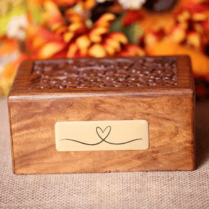 pet memorial box with ashes in Katy, Texas