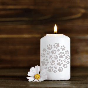 pet remembrance candle Houston, Texas Pet Sympathy Gifts In Honor of National Dog Week