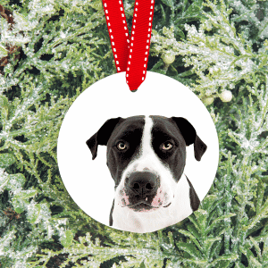 pet memorial ornament houston, texas