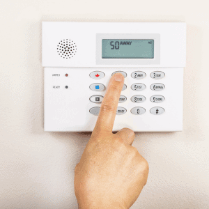 pet sitter in Katy, Texas arming a home security system
