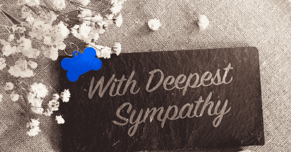 Pet Sympathy Gifts In Honor of National Dog Week