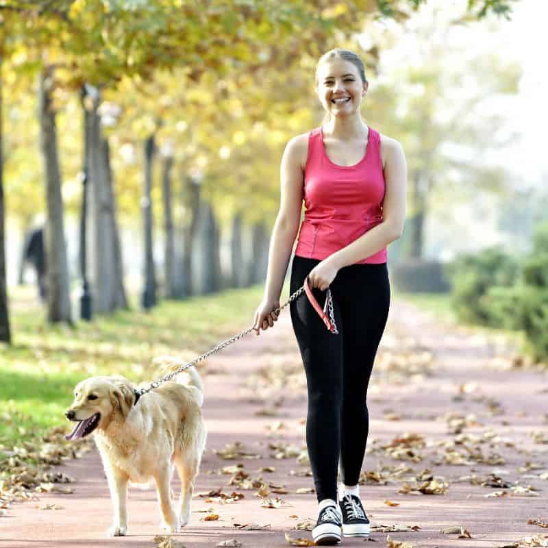 pet walking