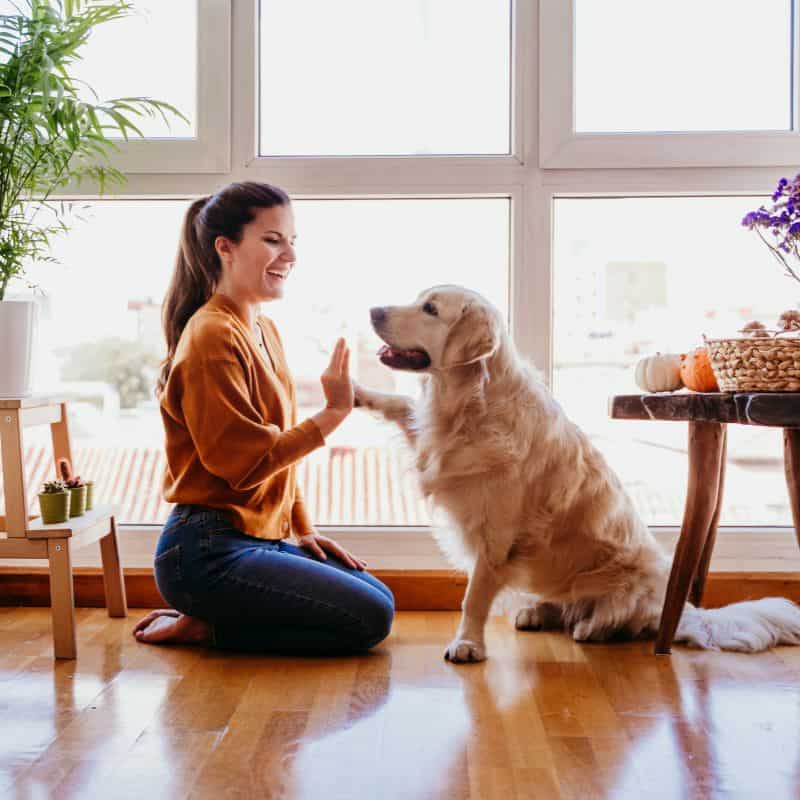 woman highfiving dog