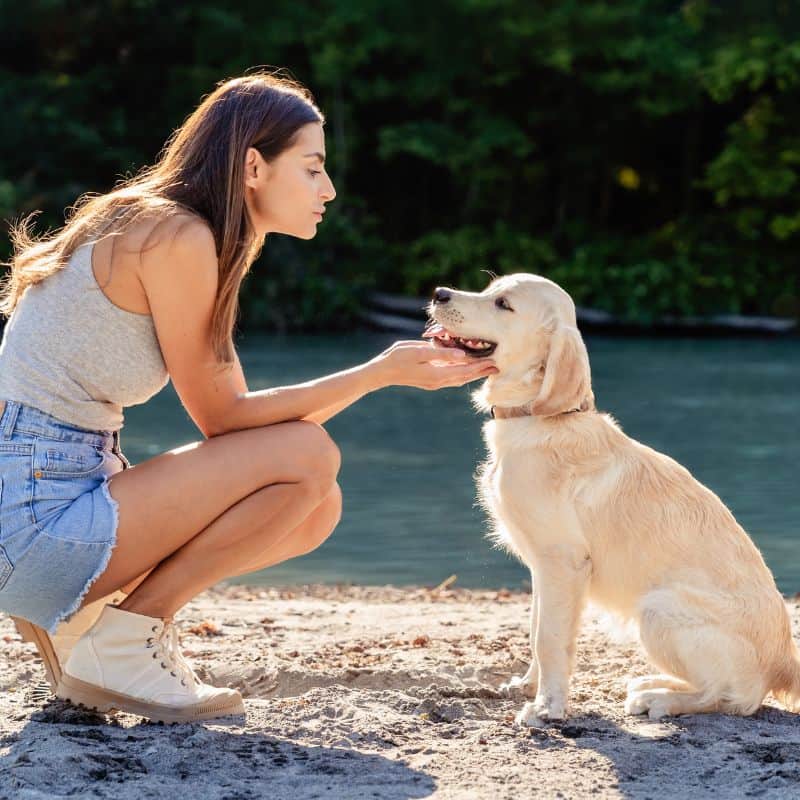 woman petting dog