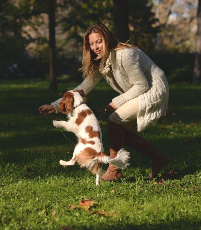 woman playing with dog