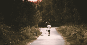 Katy’s Best Dog Walking Parks and Trails