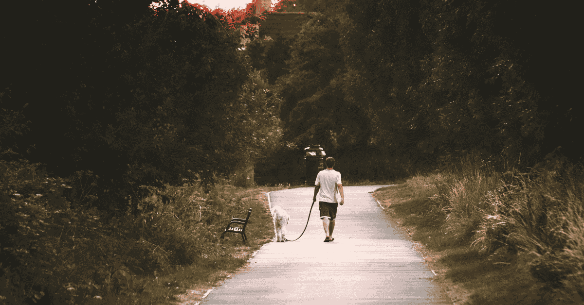 Katy’s Best Dog Walking Parks and Trails