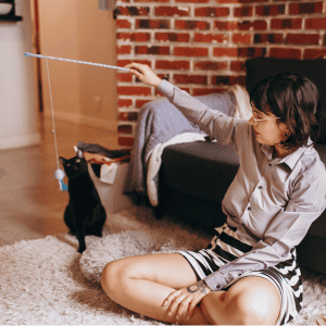 senior cat playing with a cat sitter from Animal Admiration Pet Care in Katy, TX