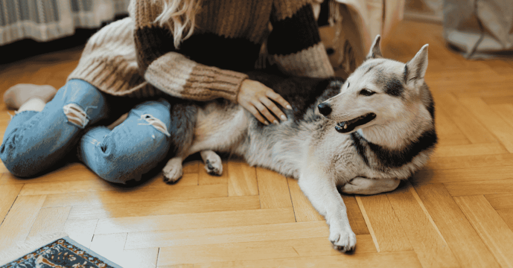 Houston's Best Pet Sitters - pet sitter with dog in Houston, Katy, TX