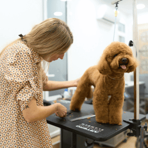 pet groomer Katy, TX