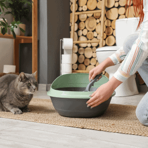 professional cat sitter in Katy. TX sccoping litter box