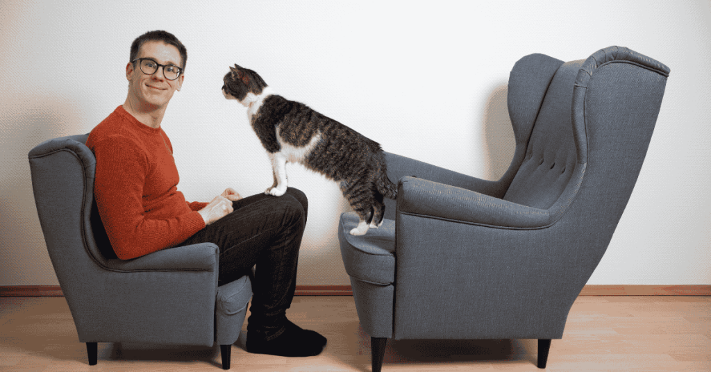 professional cat sitter Katy, TX with cat on chair
