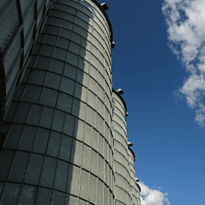 Katy, Texas pet care