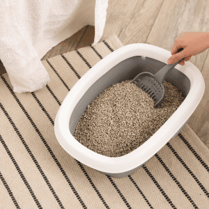 Animal Admiration cat sitter scooping a litter box in Katy, TX