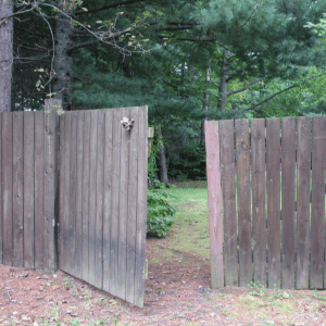 open yard gate in Katy, Texas