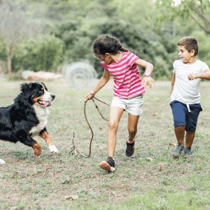 kids playing with dog in Katy, Texas yard