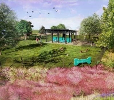 Brideland Dog Park Cypress texas