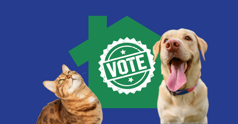 nextdoor fave awards 2026 animal admiration pet care